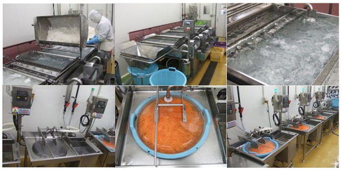 微酸性電解水在日本食品加工廠中的應(yīng)用實(shí)例